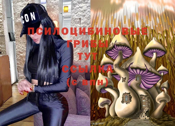МДПВ Армянск